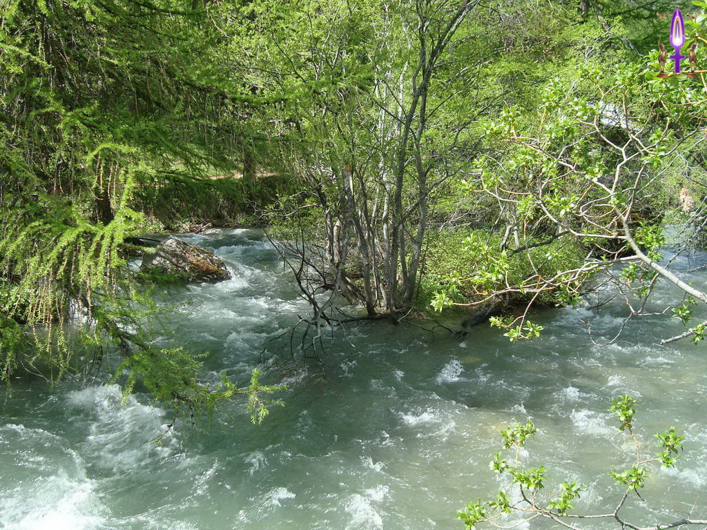 Croix de Lumière, Photo de la Série P No 1 