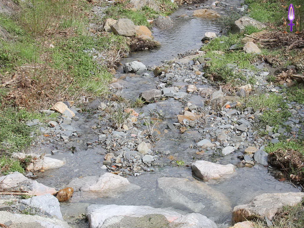 Croix de Lumière, Photo de la Série P No 5 