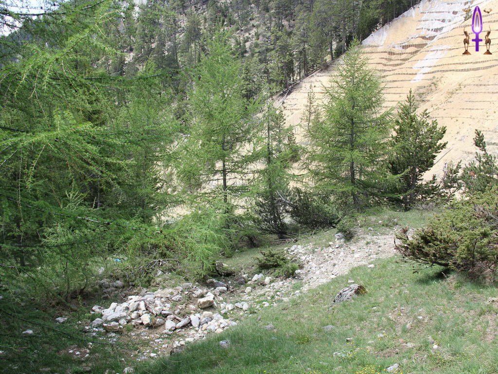 Croix de Lumière, Photo de la Série P No 8 