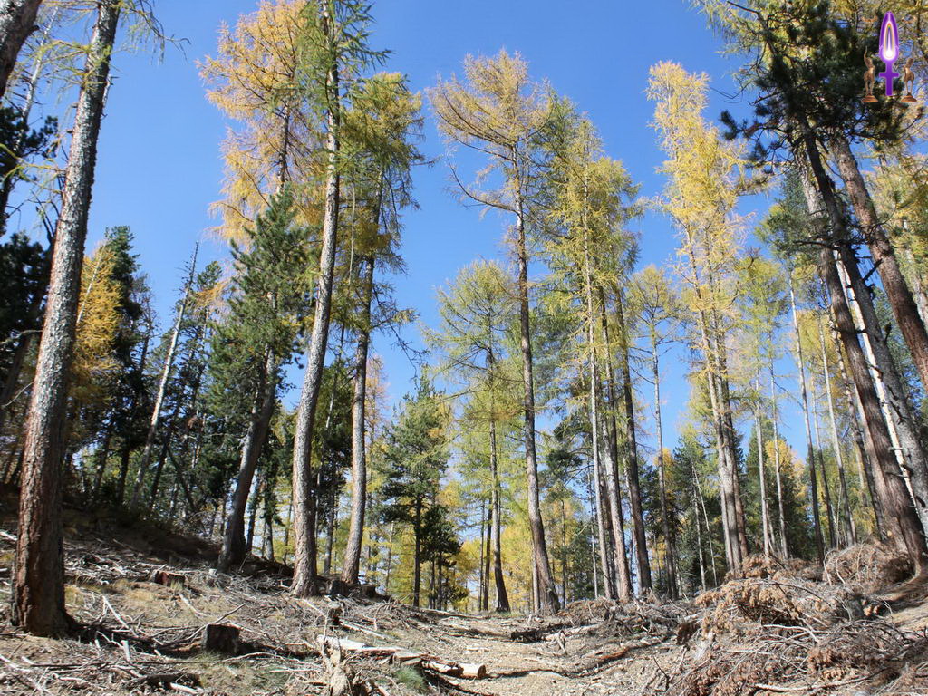 Croix de Lumière, Photo de la Série P No 9 