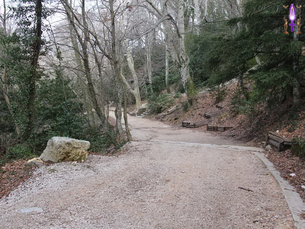 Croix de Lumière, Photo de la Série P No 13 