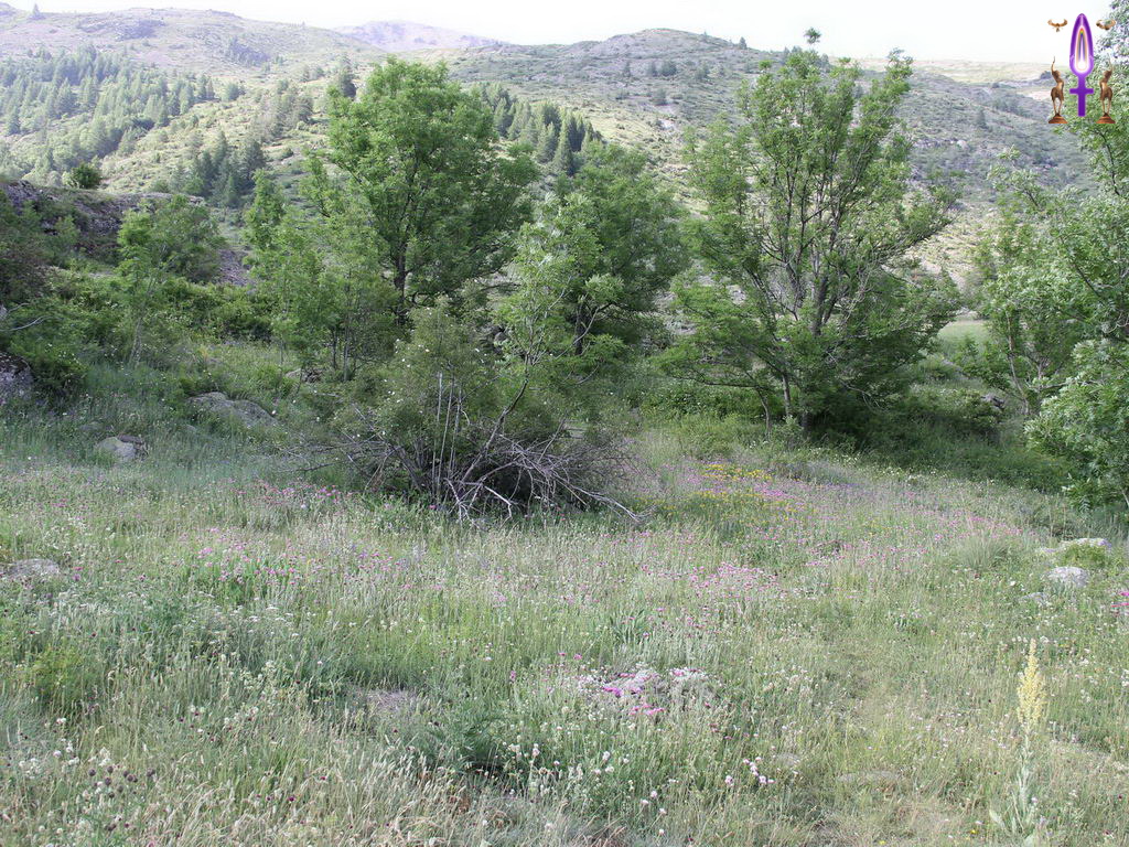 Croix de Lumière, Photo de la Série P No 14 