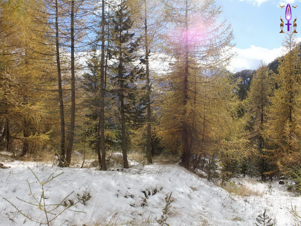 Croix de Lumière, Photo de la Série P No 18 
