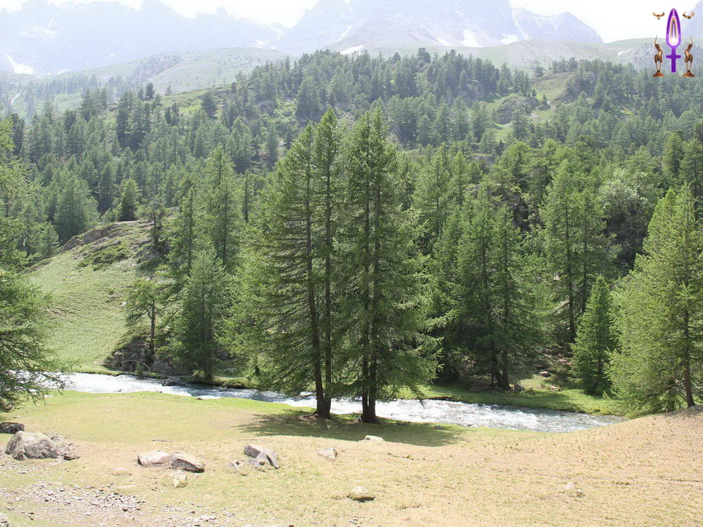 Croix de Lumière, Photo de la Série P No 22 