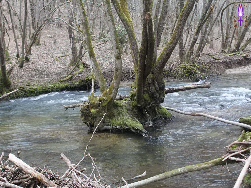 Croix de Lumière, Photo de la Série P No 35 