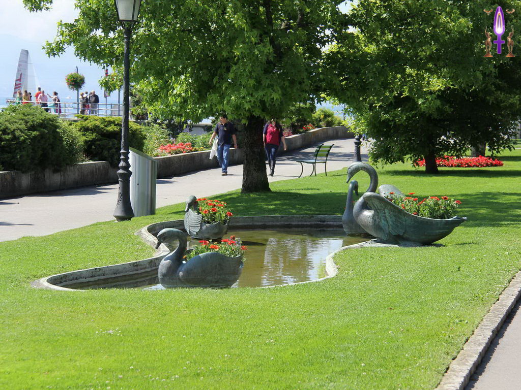 Croix de Lumière, Photo de la Série P No 41 