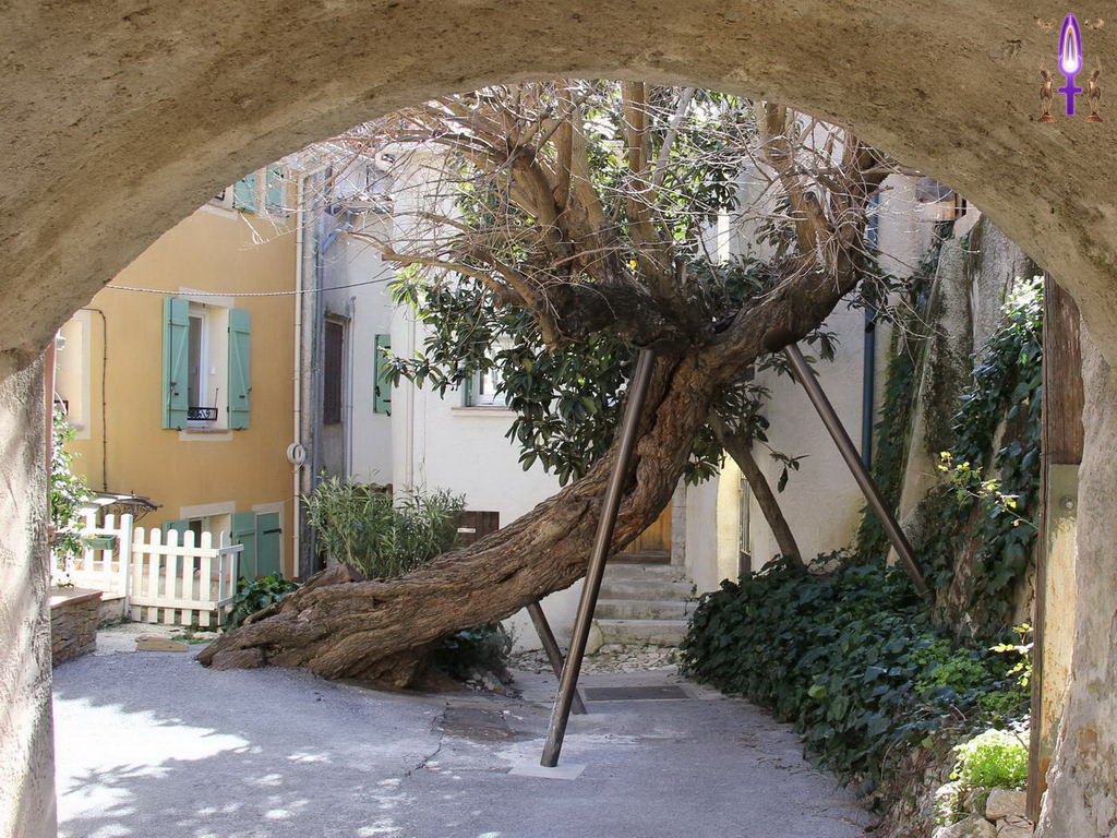 Croix de Lumière, Photo de la Série P No 47 