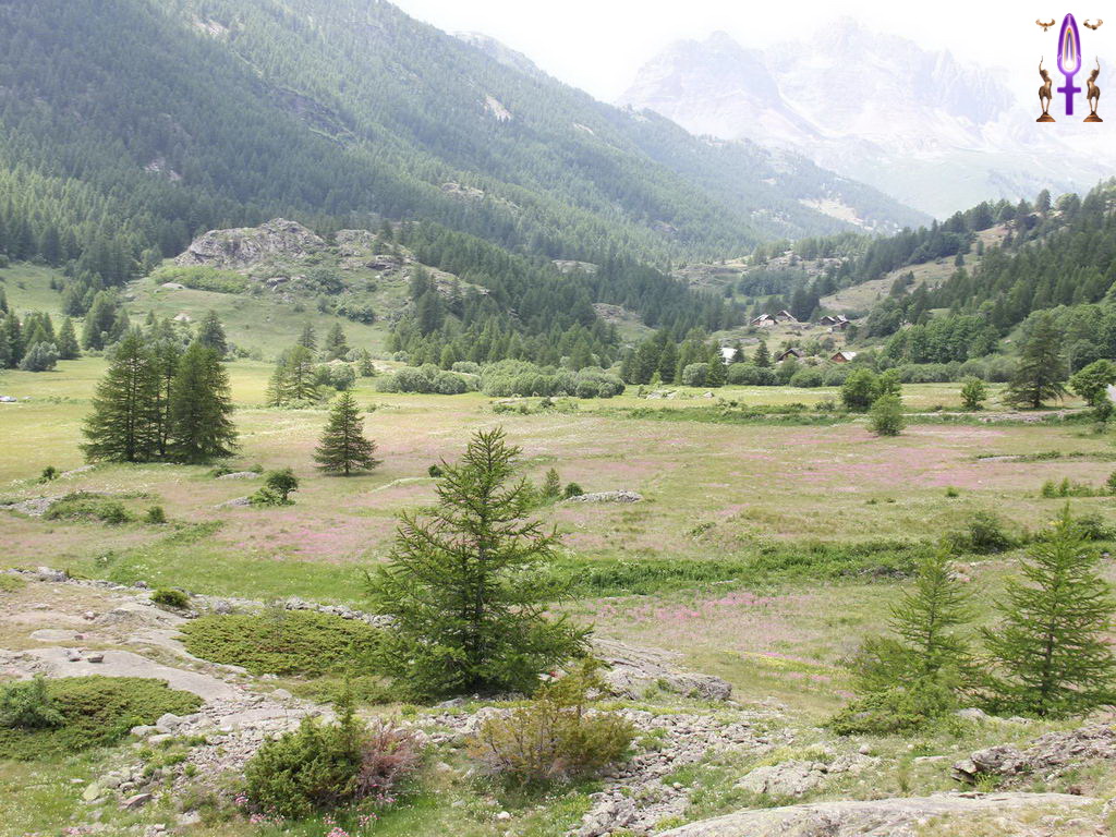 Croix de Lumière, Photo de la Série P No 54 