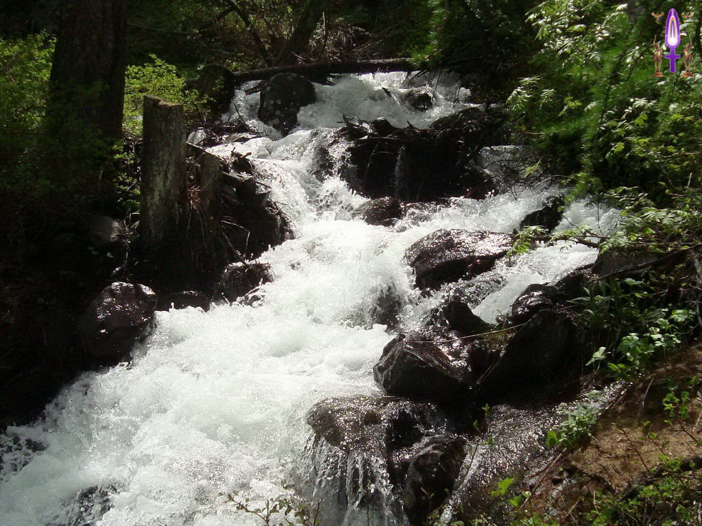Croix de Lumière, Photo de la Série P No 010 