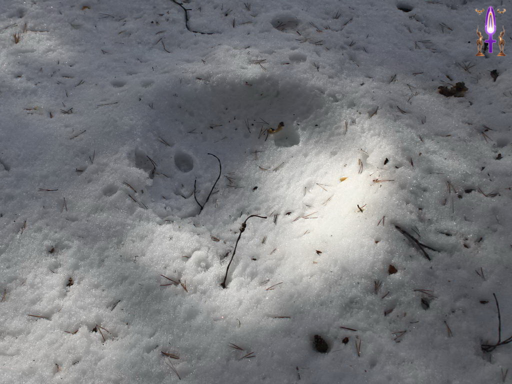 Croix de Lumière, Photo de la Série P No 72 