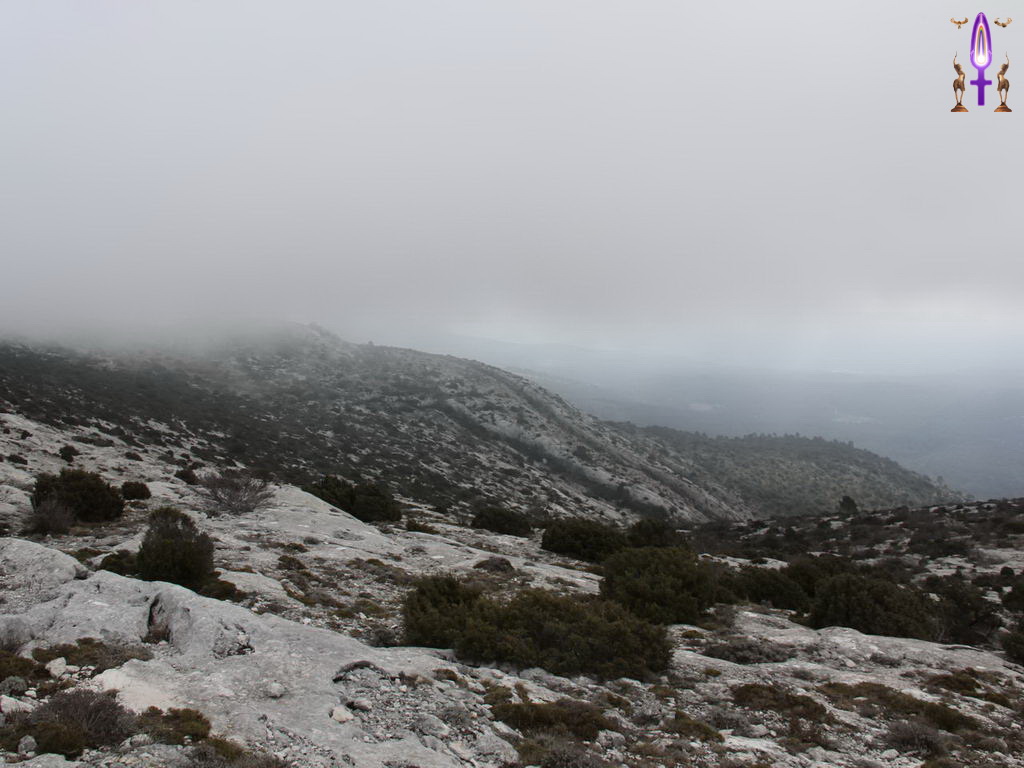 Croix de Lumière, Photo de la Série P No 85 