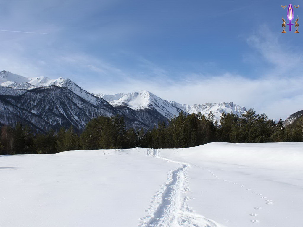 Croix de Lumière, Photo de la Série P No 99 