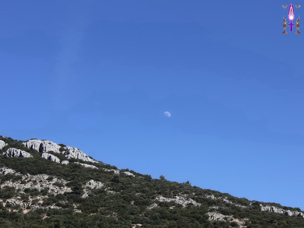 Croix de Lumière, Photo de la Série P No 102 