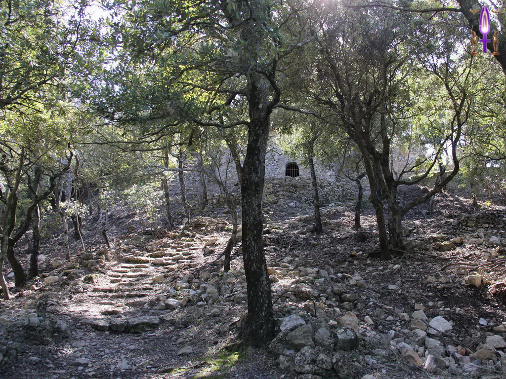 Croix de Lumière, Photo de la Série Q No 1 
