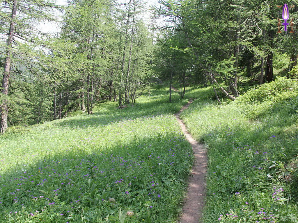 Croix de Lumière, Photo de la Série Q No 5 