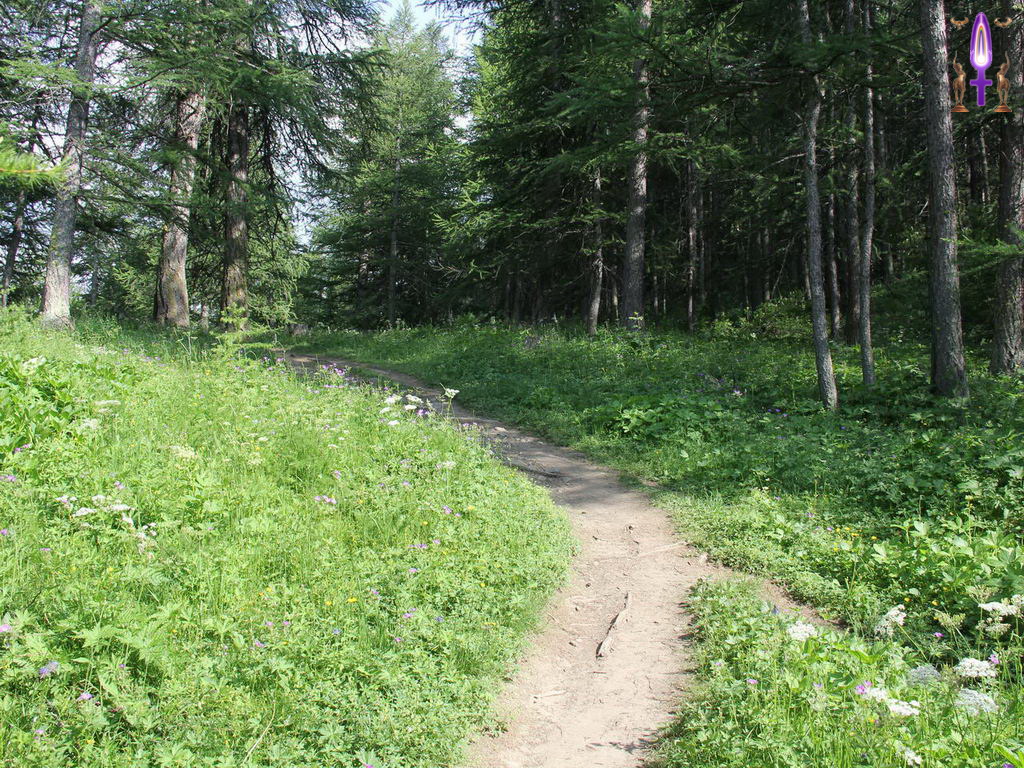 Croix de Lumière, Photo de la Série Q No 7 