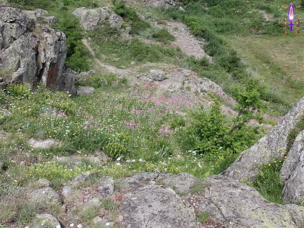 Croix de Lumière, Photo de la Série Q No 8 