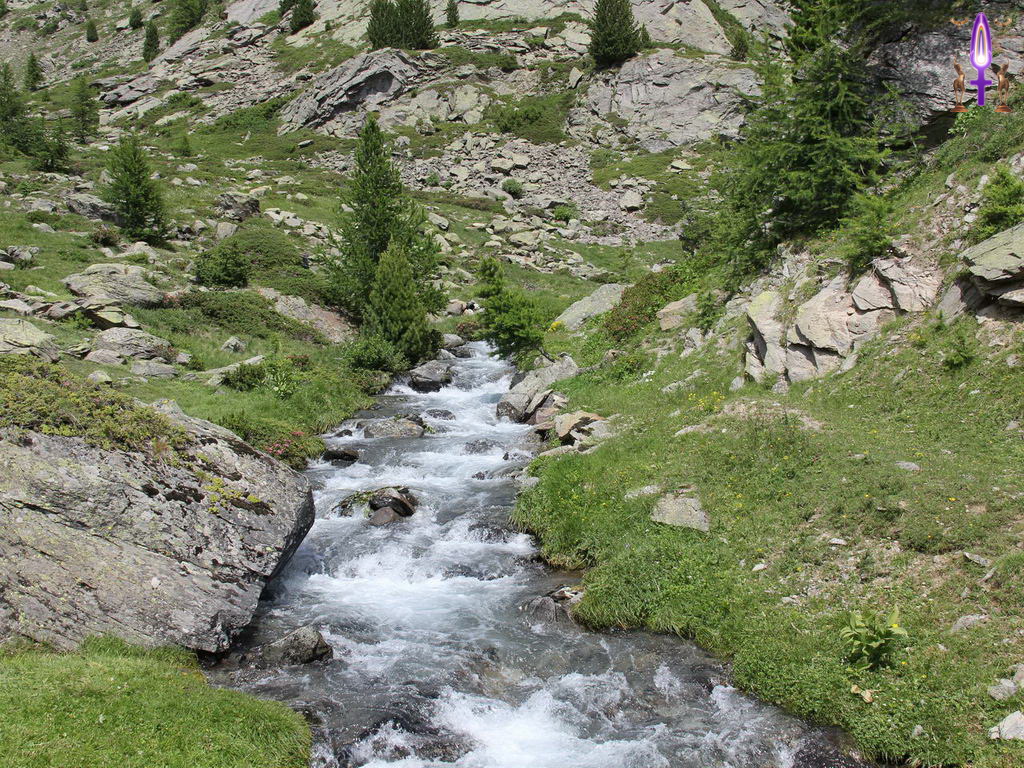 Croix de Lumière, Photo de la Série Q No 12 