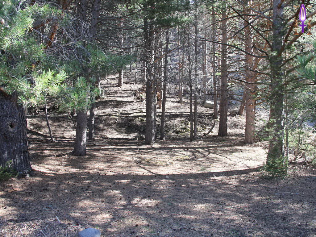 Croix de Lumière, Photo de la Série Q No 13 
