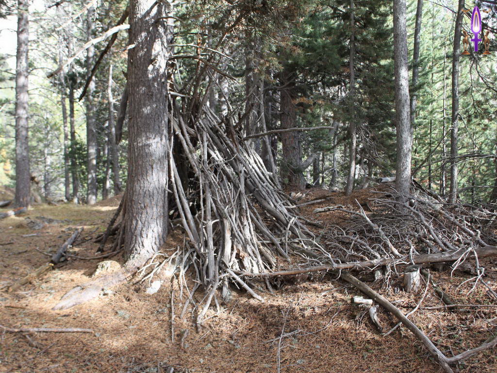 Croix de Lumière, Photo de la Série Q No 19 