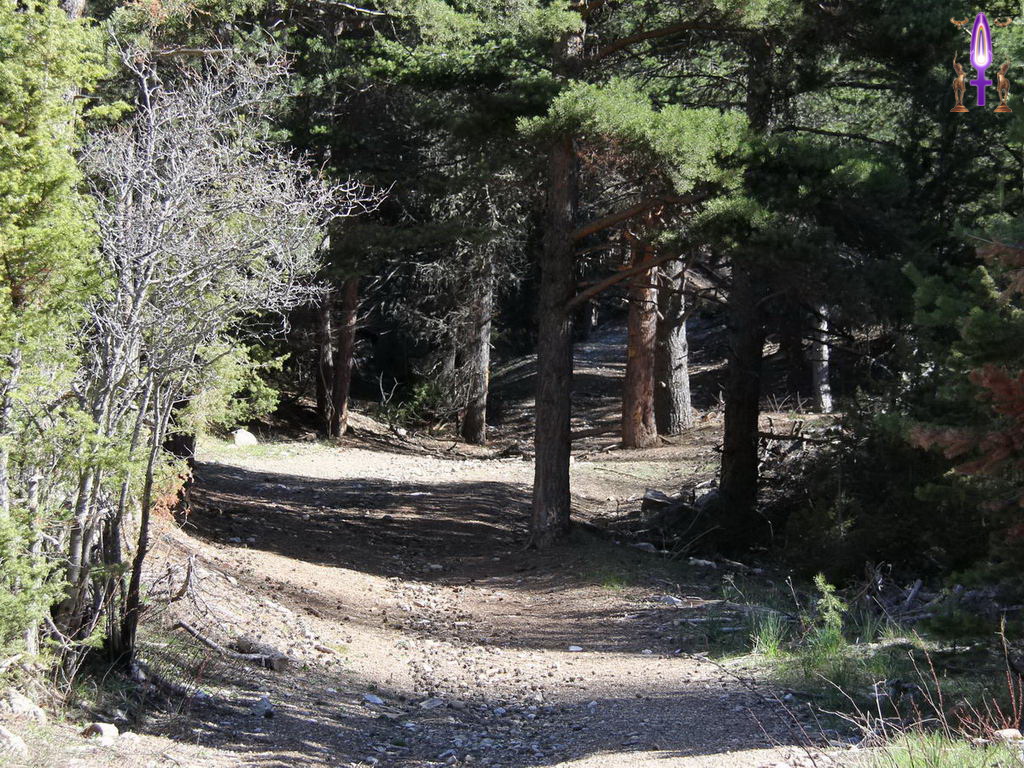 Croix de Lumière, Photo de la Série Q No 23 