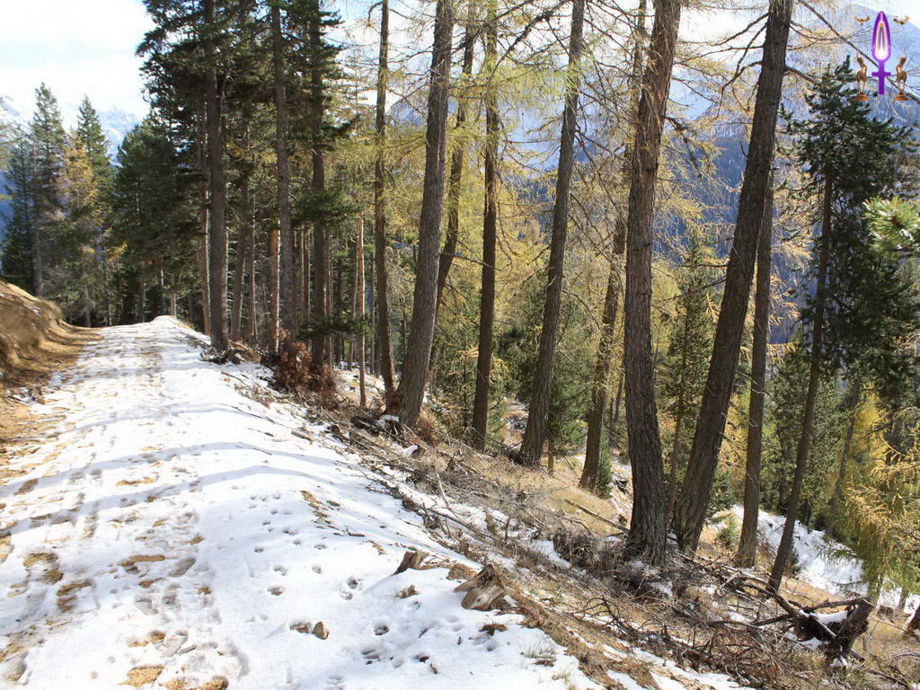 Croix de Lumière, Photo de la Série Q No 32 