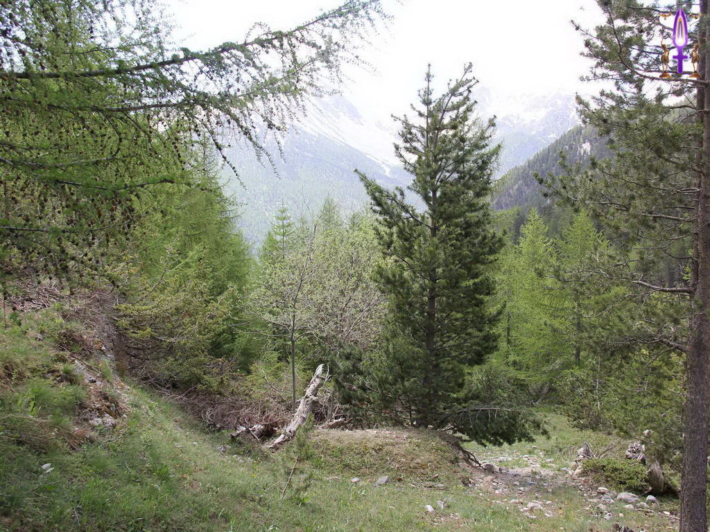 Croix de Lumière, Photo de la Série Q No 34 