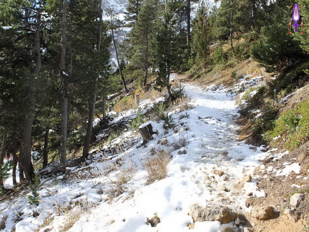 Croix de Lumière, Photo de la Série Q No 36 