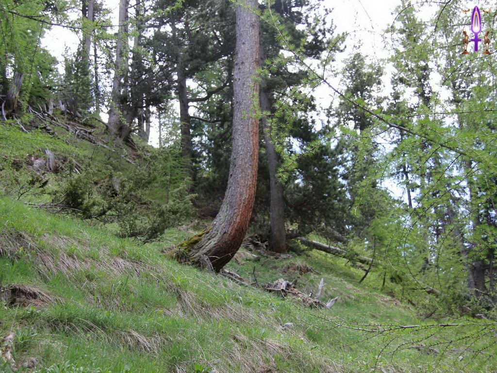 Croix de Lumière, Photo de la Série Q No 37 