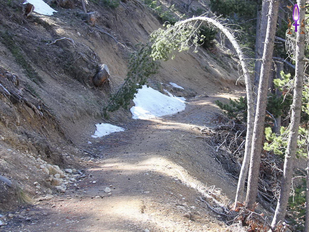 Croix de Lumière, Photo de la Série Q No 38 