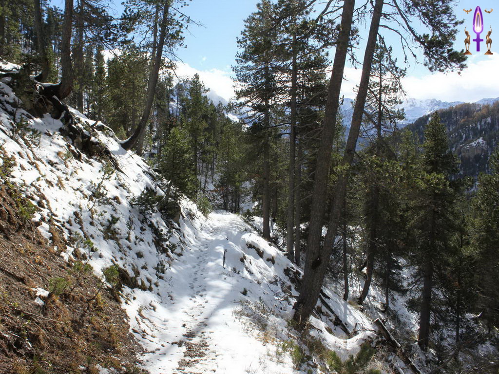 Croix de Lumière, Photo de la Série Q No 39 