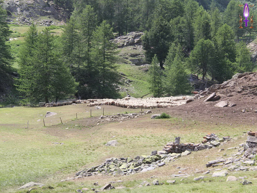Croix de Lumière, Photo de la Série Q No 40 