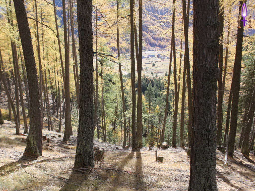 Croix de Lumière, Photo de la Série Q No 43 