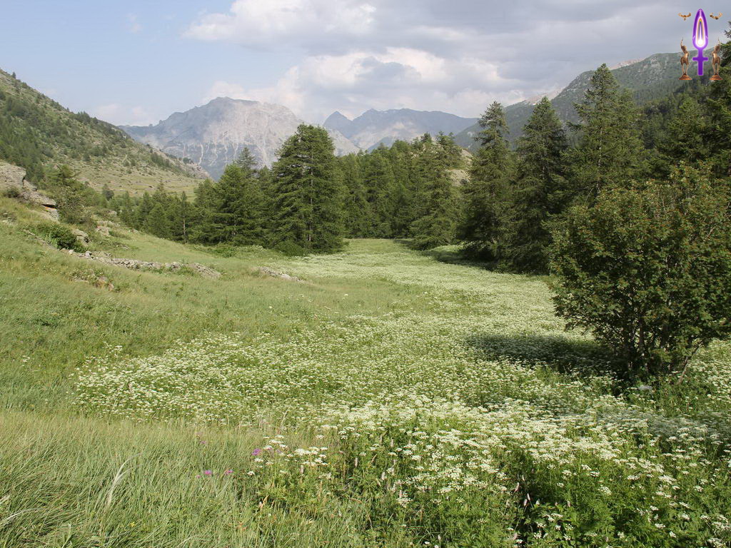 Croix de Lumière, Photo de la Série Q No 46 
