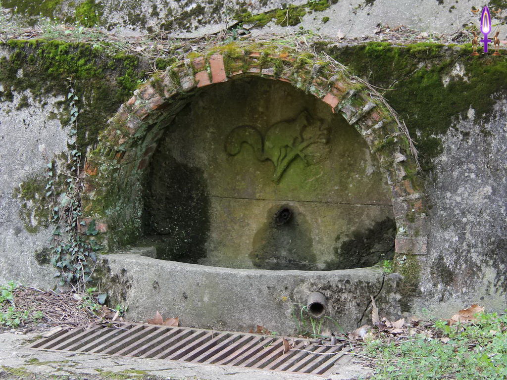 Croix de Lumière, Photo de la Série Q No 48 