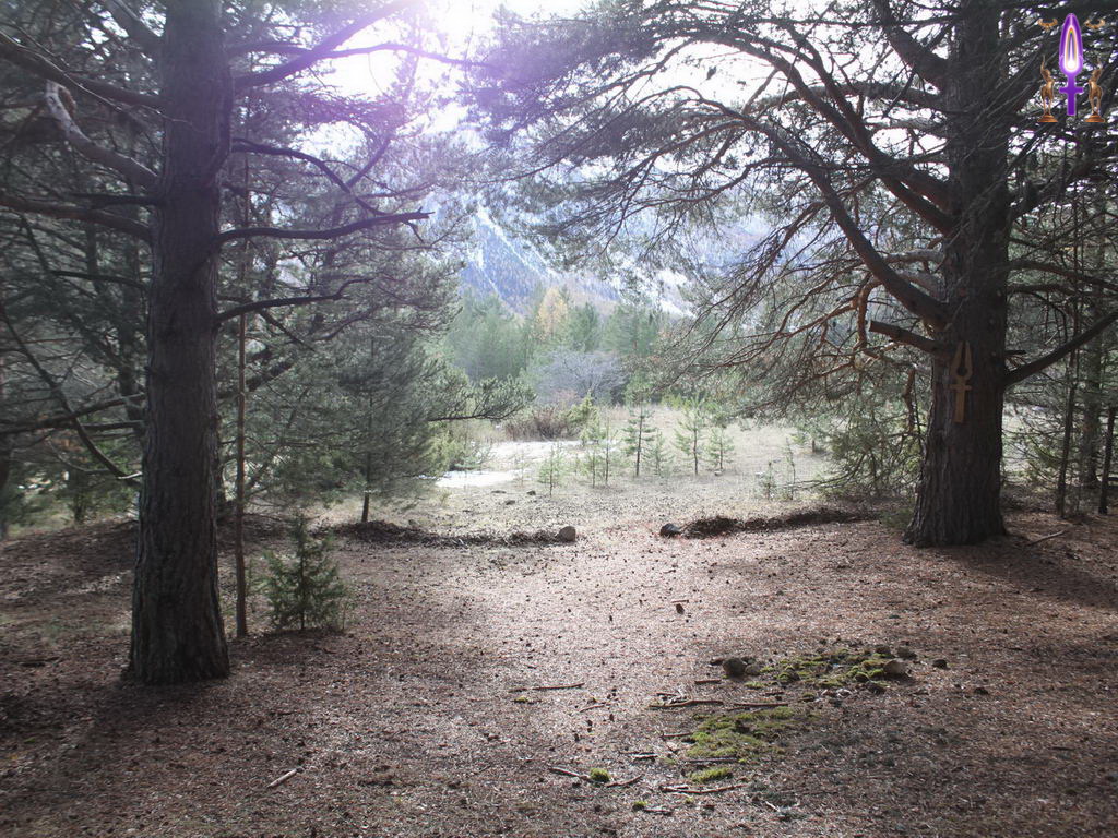 Croix de Lumière, Photo de la Série Q No 51 