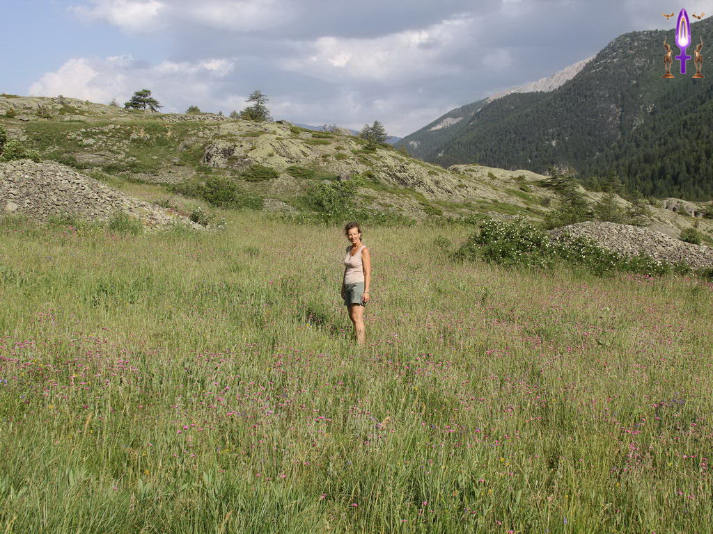 Croix de Lumière, Photo de la Série Q No 57 