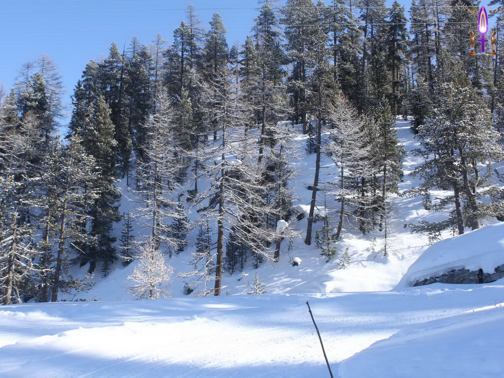 Croix de Lumière, Photo de la Série Q No 58 