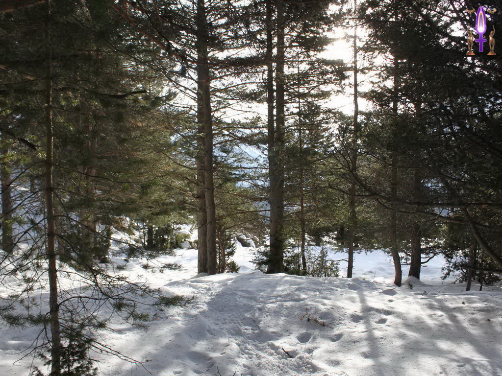 Croix de Lumière, Photo de la Série Q No 59 