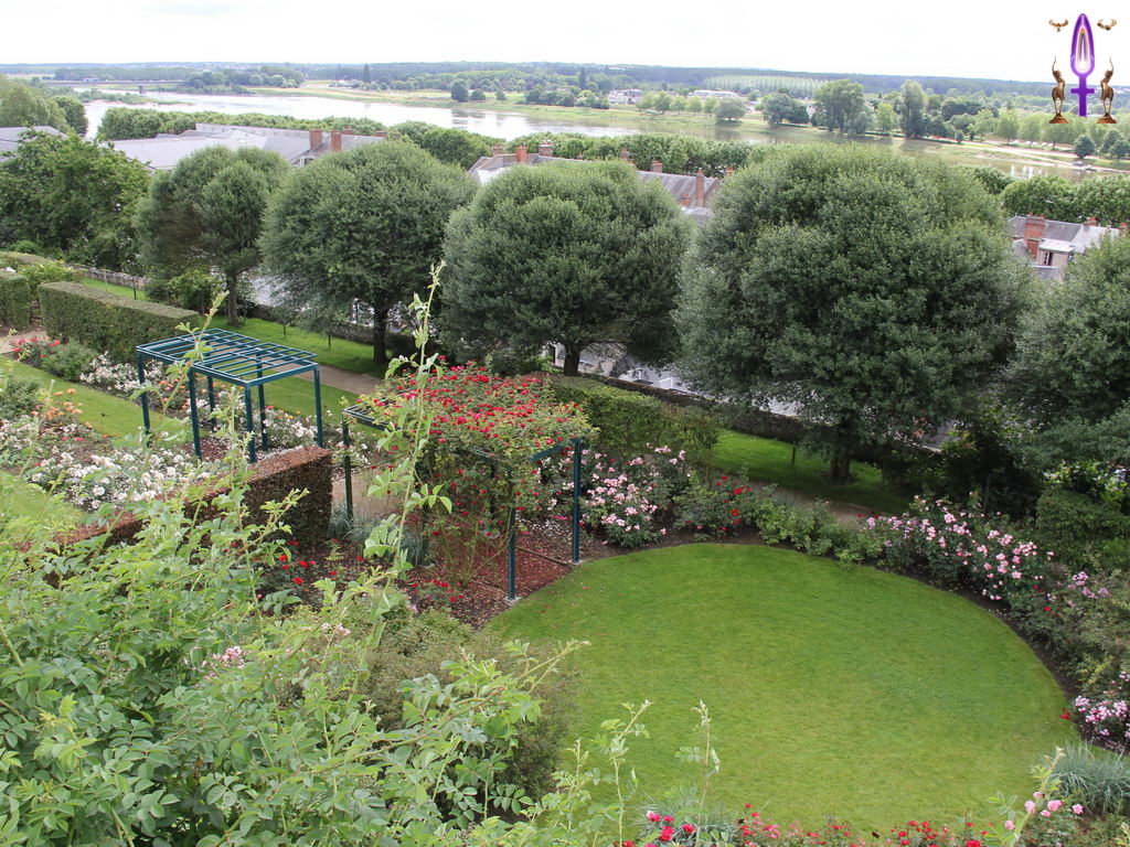 Croix de Lumière, Photo de la Série Q No 61 