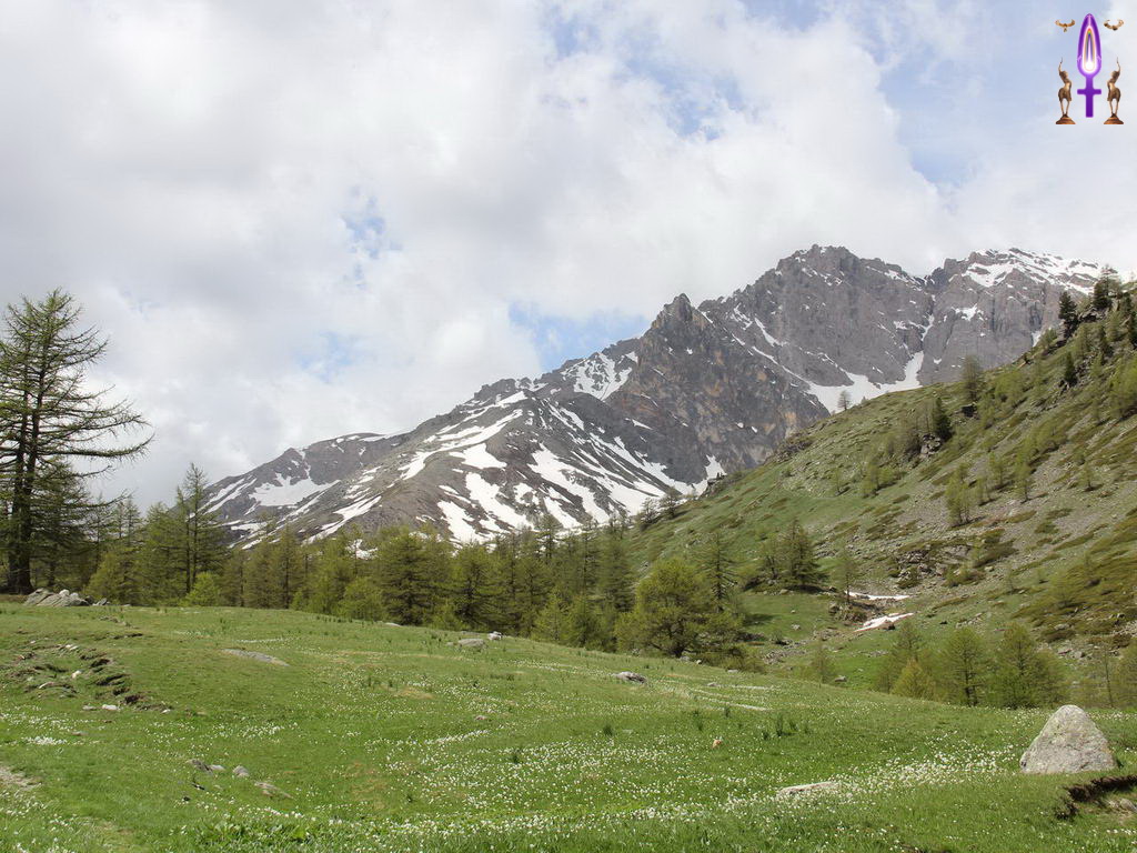 Croix de Lumière, Photo de la Série Q No 64 