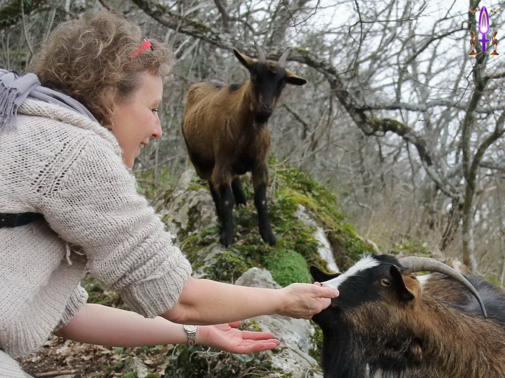 Croix de Lumière, Photo de la Série Q No 65 