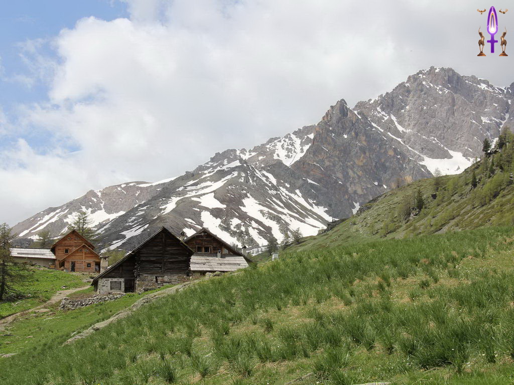 Croix de Lumière, Photo de la Série Q No 69 