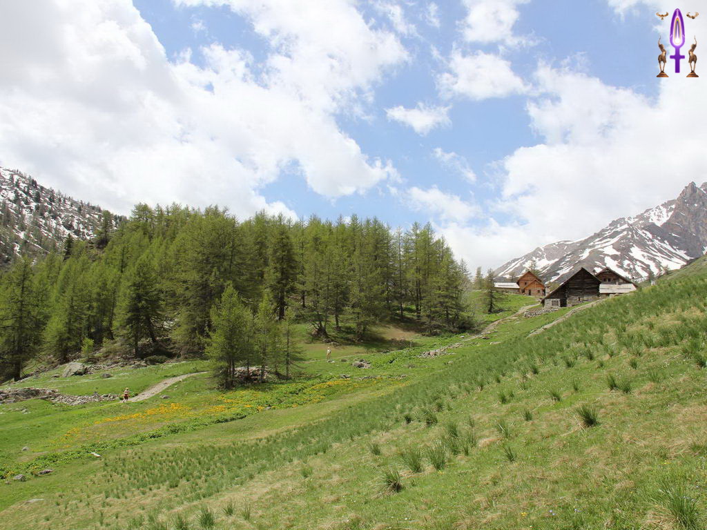 Croix de Lumière, Photo de la Série Q No 72 