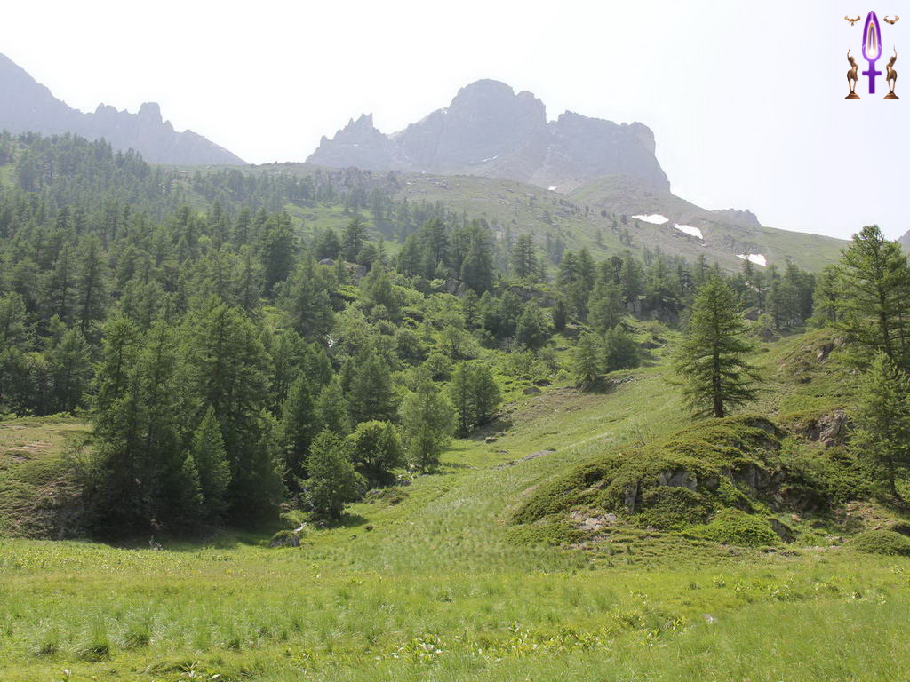 Croix de Lumière, Photo de la Série Q No 75 