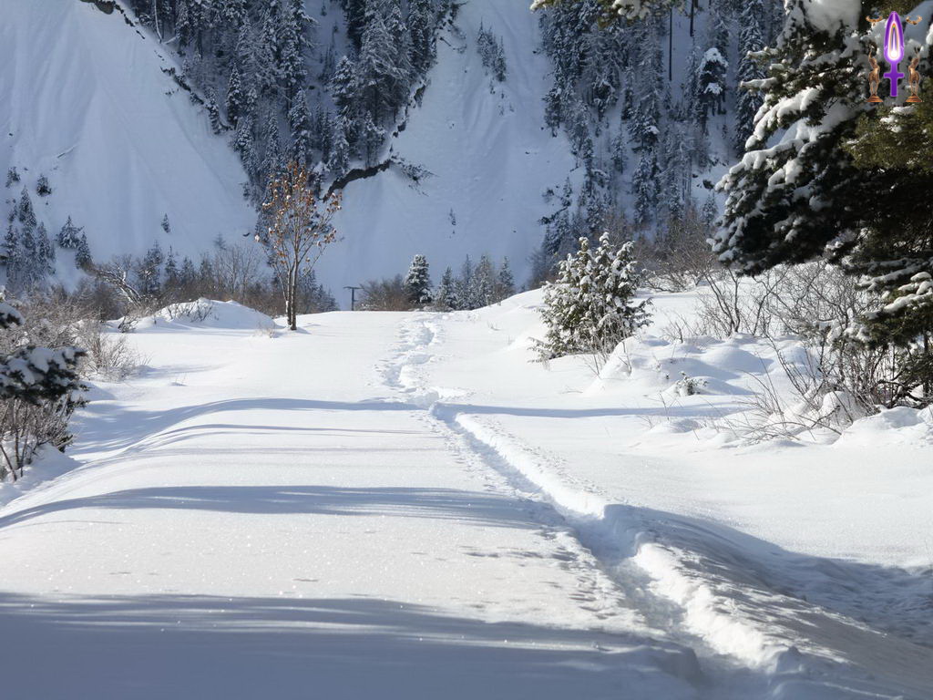 Croix de Lumière, Photo de la Série Q No 83 