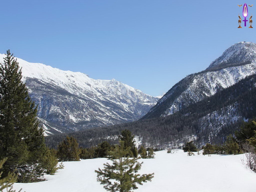 Croix de Lumière, Photo de la Série Q No 95 