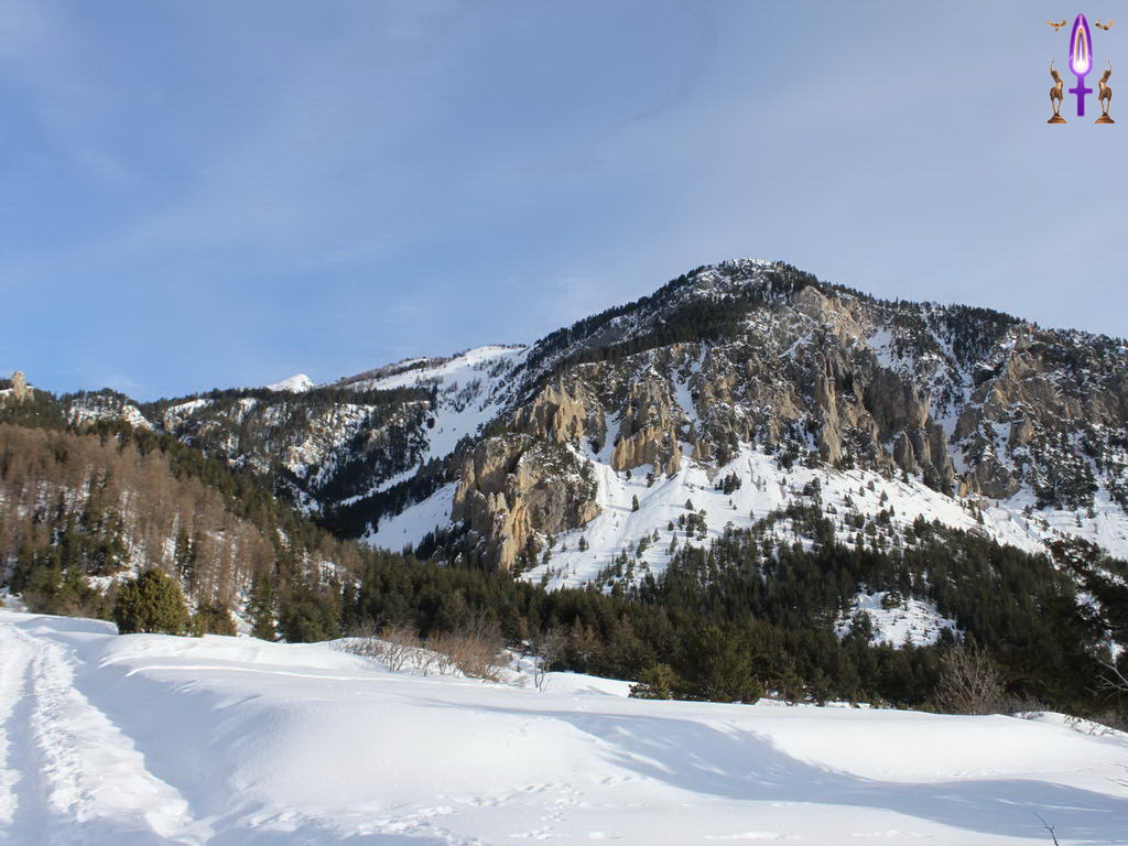 Croix de Lumière, Photo de la Série Q No 104 