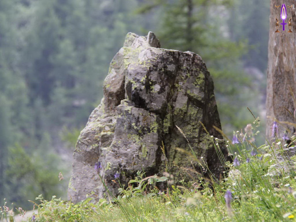 Croix de Lumière, Photo de la Série Q No 106 