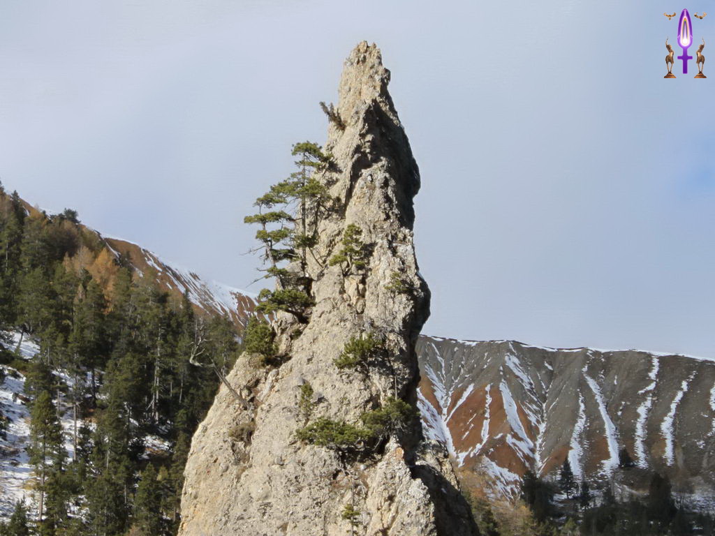 Croix de Lumière, Photo de la Série Q No 108 